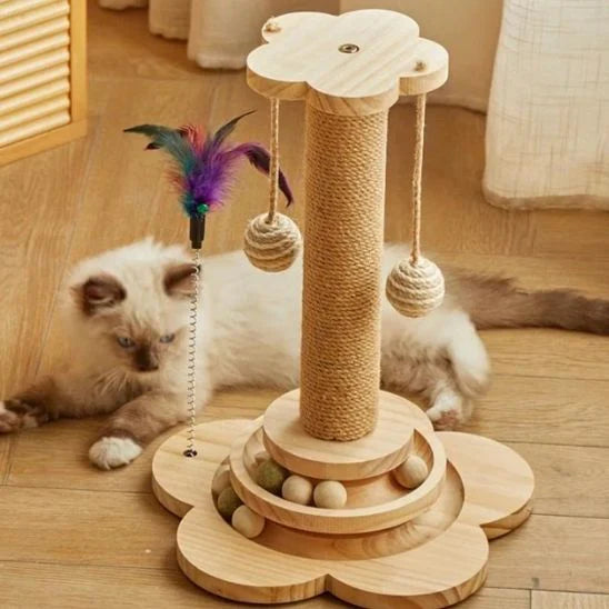 Chat Chateau | Tiragraffi